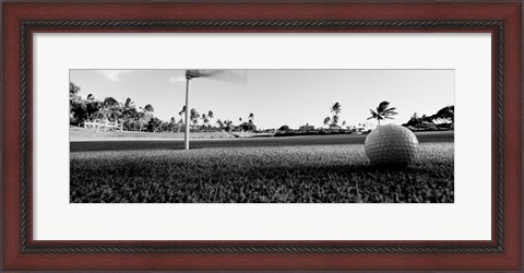 Framed Close Up Golf Ball And Hole, Hawaii Print