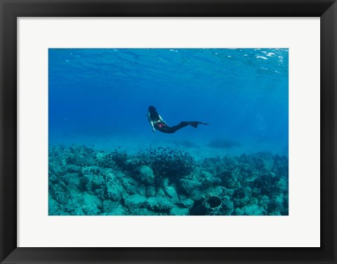 Framed View of Mermaid Swimming Undersea, Hawaii Print