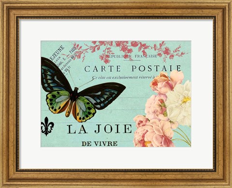 Framed Butterfly Postcard Print