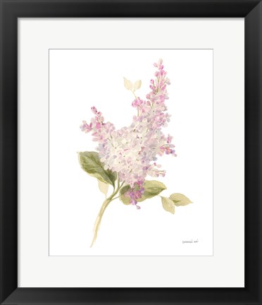 Framed Floursack Florals on White VI Print