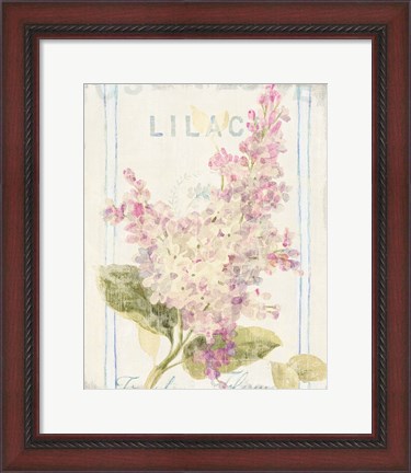 Framed Floursack Florals V Print