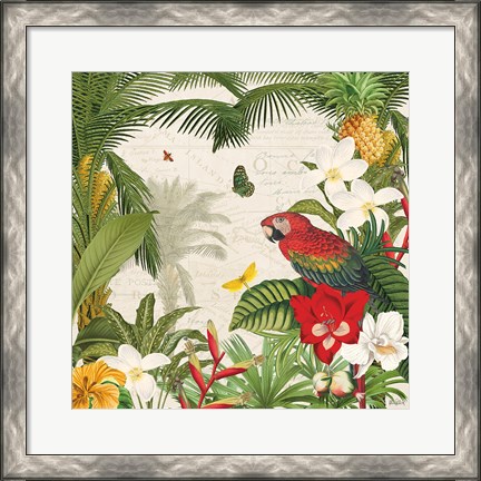 Framed Parrot Paradise III Print