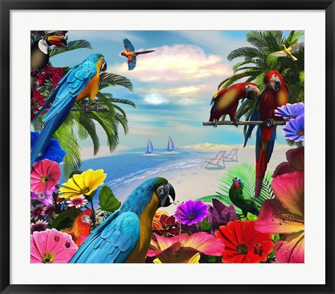 Framed Macaw Island Print
