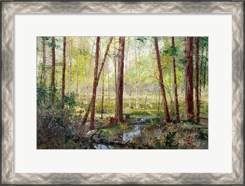 Framed Forest Edge Print