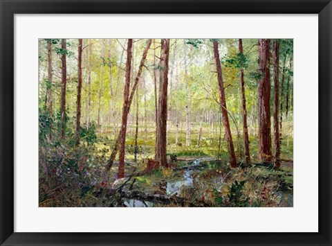 Framed Forest Edge Print
