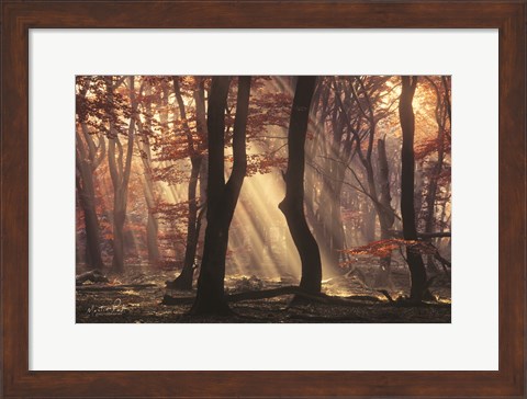 Framed It&#39;s Raining Sunrays Print