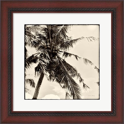 Framed Palm Tree Sepia II Print