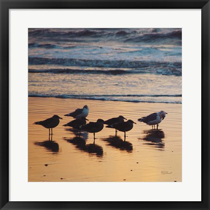 Framed Kalaloch Birds I Print