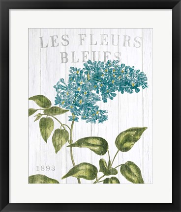 Framed Fleuriste Paris V Print