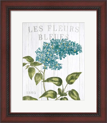 Framed Fleuriste Paris V Print