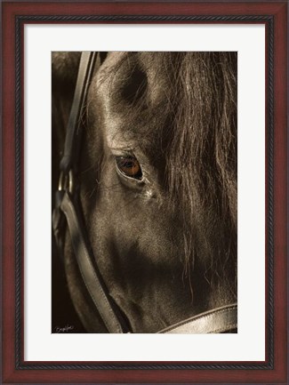 Framed Their Eyes are the Window to their Souls Print