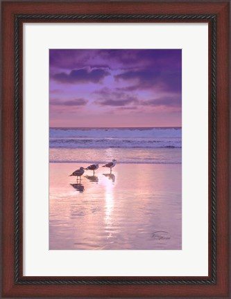 Framed Seagull Beach II Print
