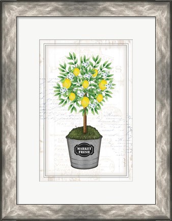 Framed Lemon Topiary Print