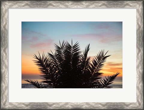 Framed Sunset Palms II Print