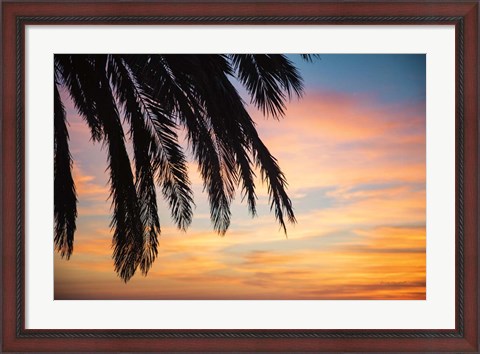 Framed Sunset Palms I Print