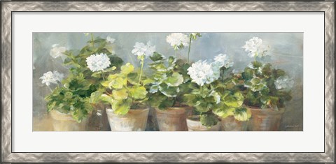 Framed White Geraniums v2 Print