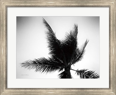 Framed Palm Tree Looking Up IV Print