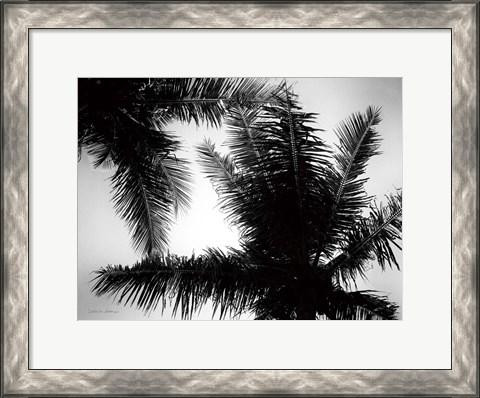 Framed Palm Tree Looking Up I Print