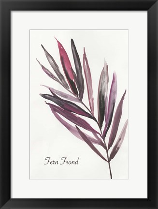 Framed Fern Frond Print