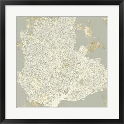 Framed Sea Coral I Print