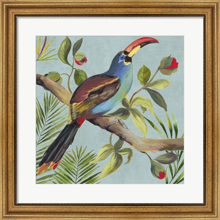 Framed Paradise Toucan I Print