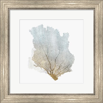 Framed Delicate Coral I Print