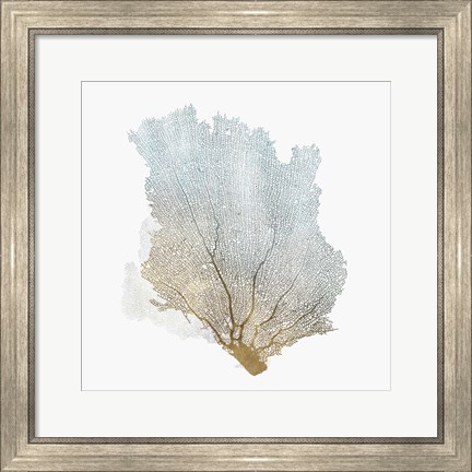 Framed Delicate Coral I Print