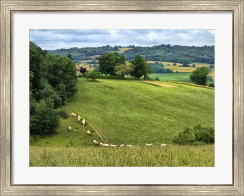 Framed Pastoral Countryside V Print