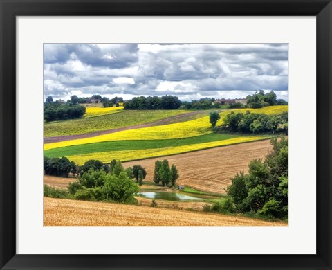 Framed Pastoral Countryside VIII Print