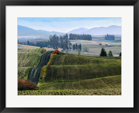 Framed Pastoral Countryside XIII Print