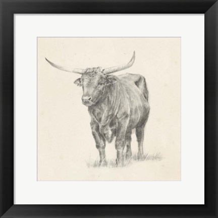 Framed Longhorn Steer Sketch I Print