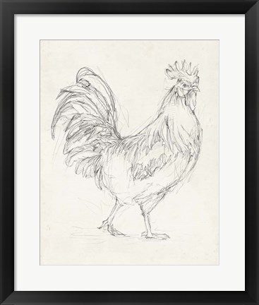Framed Rooster Sketch I Print