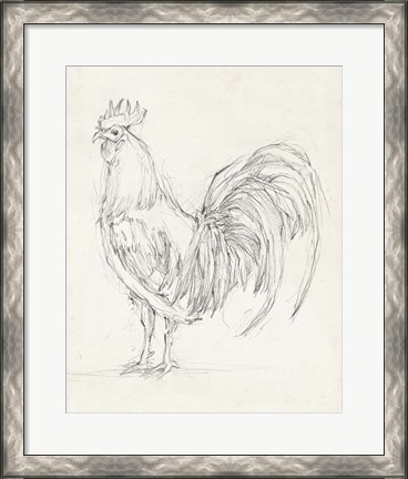 Framed Rooster Sketch II Print