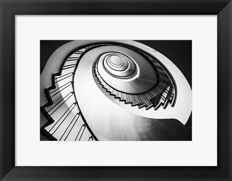 Framed Parrot Staircase  Black/White Print