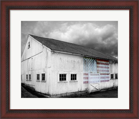 Framed Flags of Our Farmers VIII Print