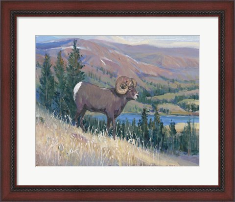 Framed Animals of the West III Print