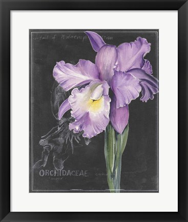 Framed Chalkboard Flower II Print