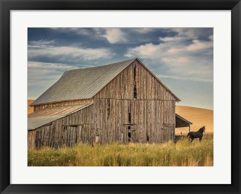 Framed Farm &amp; Field VI Print