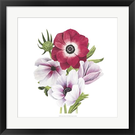 Framed Anemone Blooms I Print