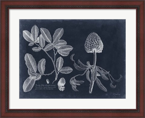 Framed Foliage on Navy II Print