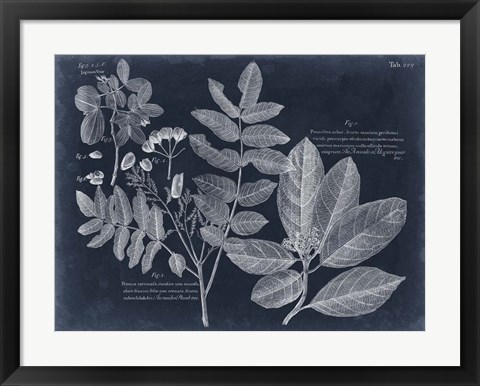Framed Foliage on Navy V Print