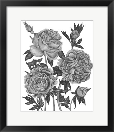 Framed Flowers in Grey VI Print