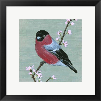 Framed Bird &amp; Blossoms I Print