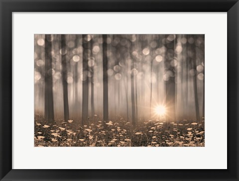 Framed Enchanted Morning Print