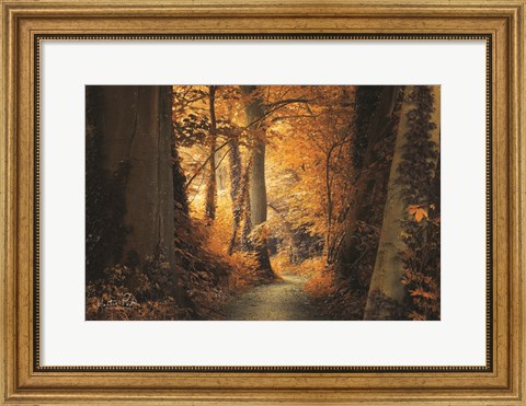 Framed Path to the Light Print
