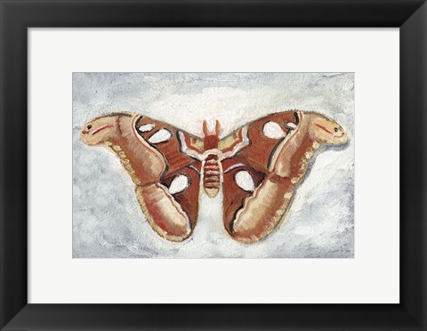 Framed Papillon de Nuit I Print