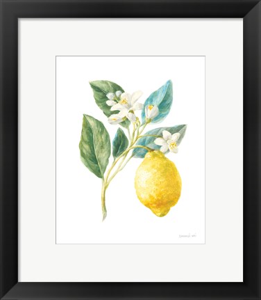 Framed Floursack Lemon I on White Print