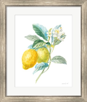 Framed Floursack Lemon II on White Print
