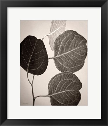 Framed Eucalyptus Sepia Print