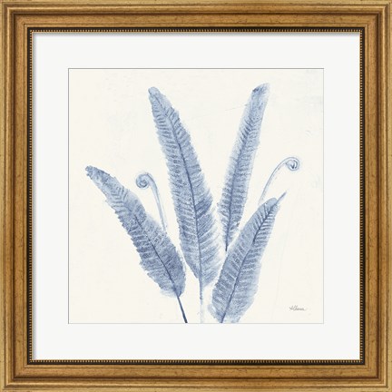 Framed Forest Ferns II v2 Blue Print